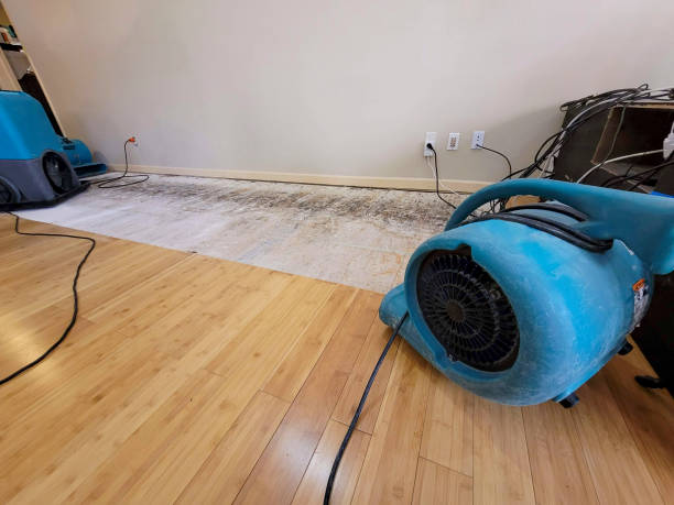 Professional Water Removal technician working in Arab, AL